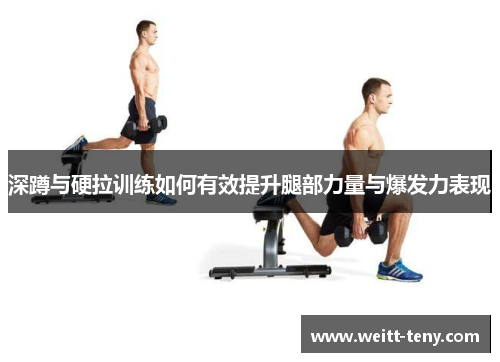 深蹲与硬拉训练如何有效提升腿部力量与爆发力表现