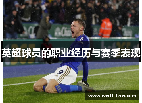 英超球员的职业经历与赛季表现
